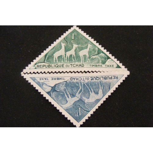 Pétroglyphes Préhistoriques 1962