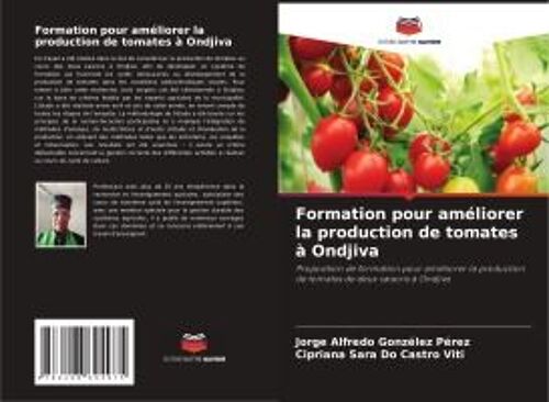 Formation Pour Améliorer La Production De Tomates À Ondjiva