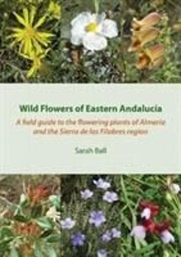 Wild Flowers Of Eastern Andalucia