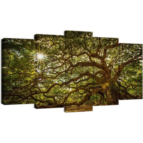 CanvaWall Art Toile de paysage enveloppée en forme de vieux ange et chêne pour décoration de salon, toile naturelle moderne et tendue 50 x 25 cm. (sans cadre)