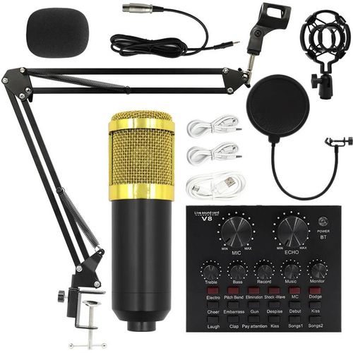 Ensemble de carte son professionnel BM800 V8, condensateur audio, micro, studio, chant, karaoké, podcast, statique, diffusion en direct-Golden-BM800-v8