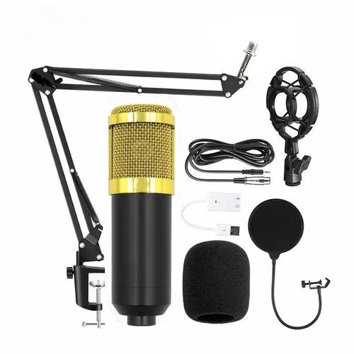 Ensemble de carte son professionnel BM800 V8, condensateur audio, micro, studio, chant, karaoké, podcast, statique, diffusion en direct-golden-BM800