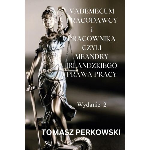 Vademecum Pracodawcy I Pracownika, Czyli Meandry Prawa Pracy W Irlandii: Wersja 2