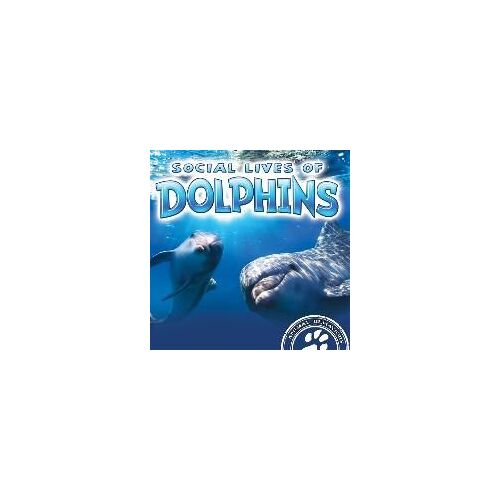 Social Lives Of Dolphins