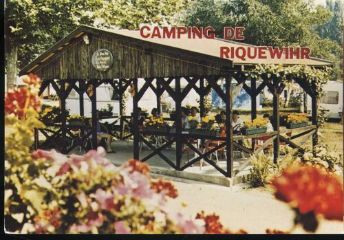 Carte Postale De Riquewihr (Haut-Rhin) Camping De Riquewihr