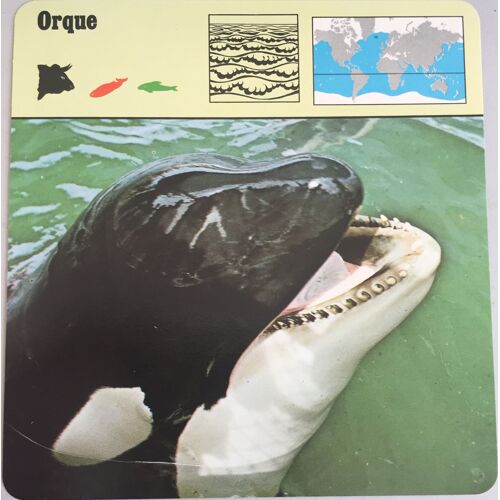 Editions Rencontre 1975 Orque