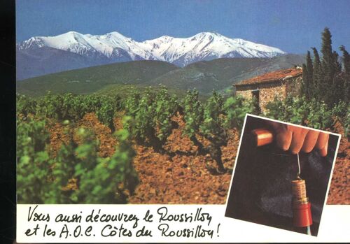 Carte Postale Du Mont Canigou (Pyrénées-Orientales) 2 Vues