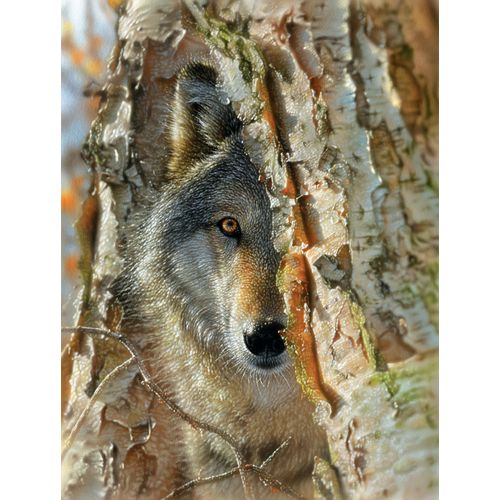 Puzzle Pièces Xxl - Rencontre Avec Un Loup - Puzzle 500 Pièces