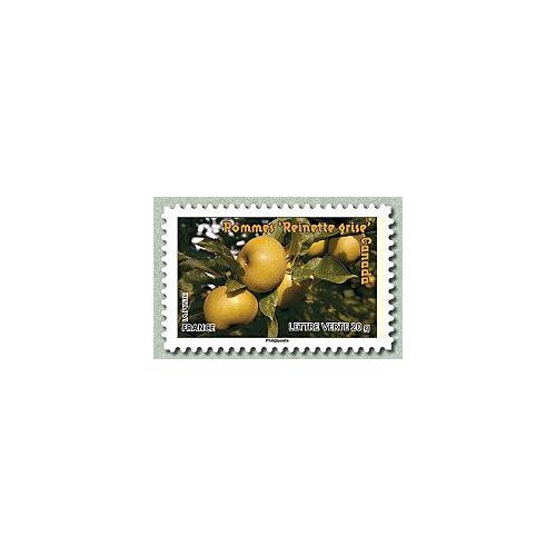 Pommes Reinette Grise