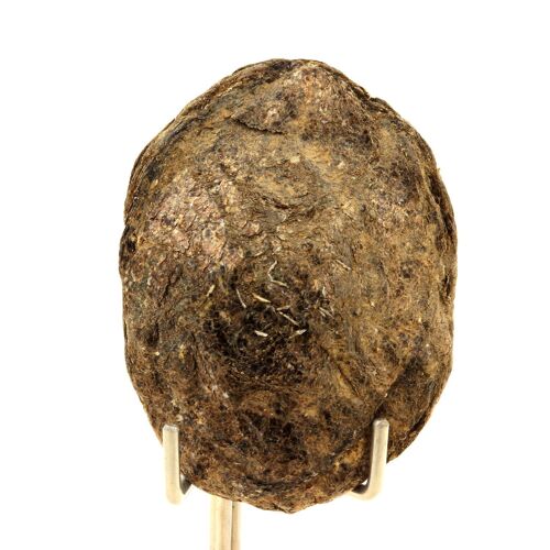 Biotite. 116.0 Ct. Freita Mountain, Arouca, Aveiro, Portugal.