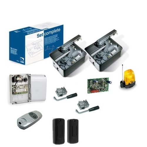Kit motorisation CAME FROG-A 230V (001U1915) pour portail battant