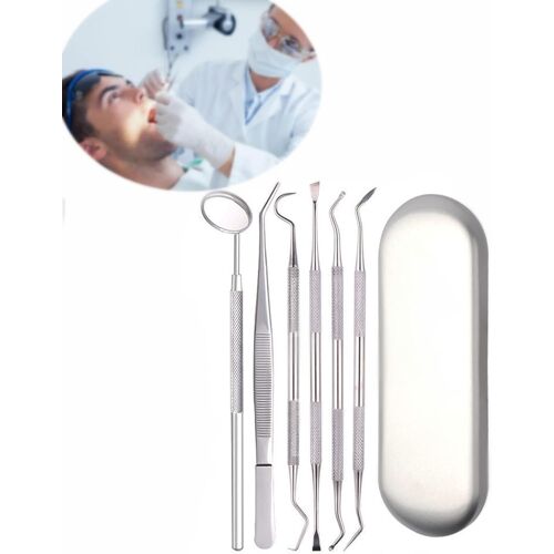 Outils De Nettoyage Dentaire,Outils De Nettoyage Des Dents,Kit D'élimination De La Plaque Dentaire,Cure-Dents En Acier Inoxydable, Miroir Buccal,Pince À Épiler,Avec Étui,Pour Les Dentistes 