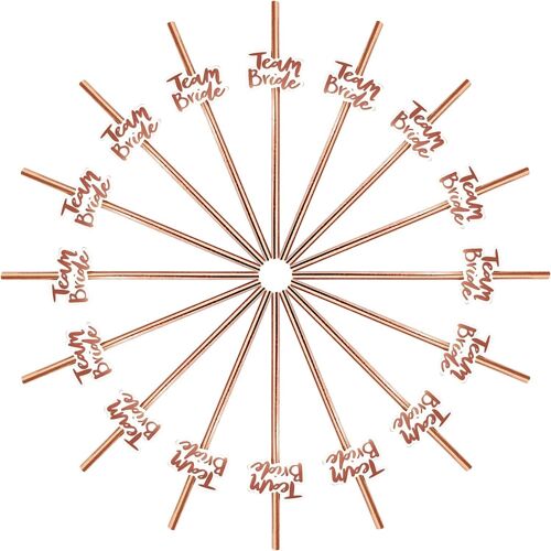 Lot De 12 Pailles En Papier Pour Enterrement De Vie De Jeune Fille, Pailles En Papier Jetables Sans Danger Et Durables