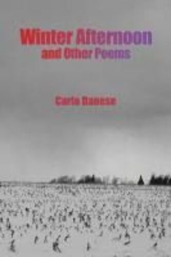 Winter Afternoon And Other Poems