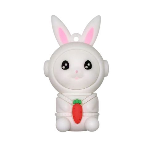 Clé USB Pendrive,support à mémoire de 32GB 64GB 32GB 128GB 256GB,lecteur Flash,dessin Animé,animaux,pingouin- -Style 29-256 GO