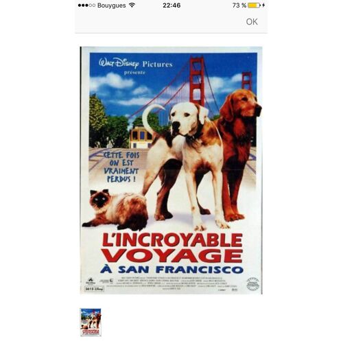 Affiche Cinéma Originale L'incroyable Voyage À San Francisco 40x60cm Pliée
