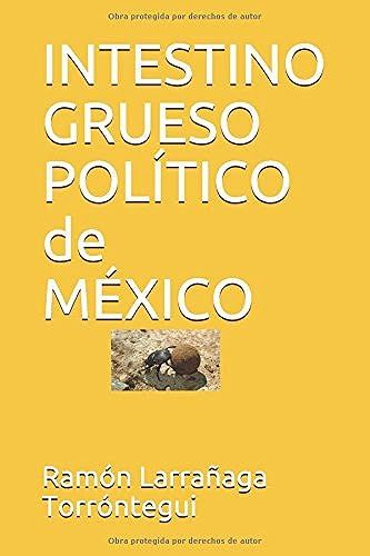 Intestino Grueso Político De México