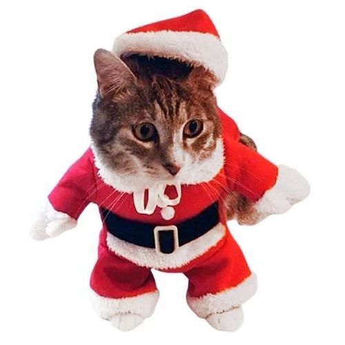 Costume De Noel Pour Petit Chien Et Chat Deguisement Vetement Animal