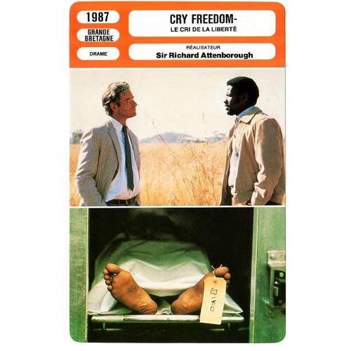 Fiche Monsieur Cinema Cry Freedom De Richard Attenborough Avec Kevin Kline Et Denzel Washington