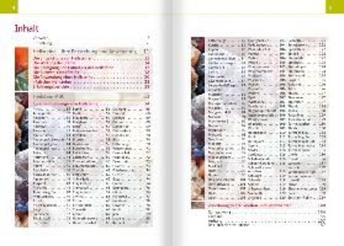 Heilsteine. Kompakt-Ratgeber