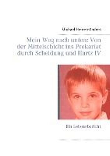Mein Weg Nach Unten: Von Der Mittelschicht Ins Prekariat Durch Scheidung Und Hartz Iv