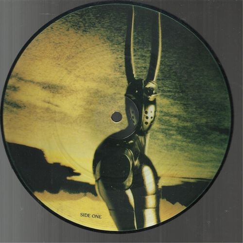 Robert Palmer: Some Guys Have All The Luck 45t Pic Disc