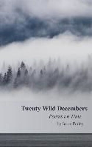 Twenty Wild Decembers