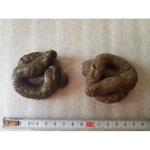Farces Et Attrapes - Fausses Crottes De Chien