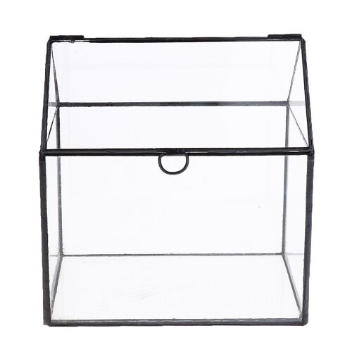 Boîte De Terrarium Géométrique En Verre Irrégulier, Plateau De Table, Plante À Air Succulente, Fern Mousse, Jardinière