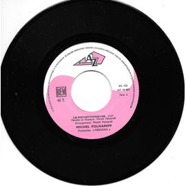 La Michetonneuse / Dans La Maison Vide [Vinyle 45 Tours 7"]