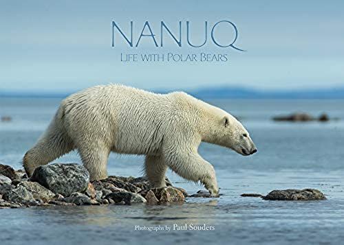 Nanuq: Life With Polar Bears