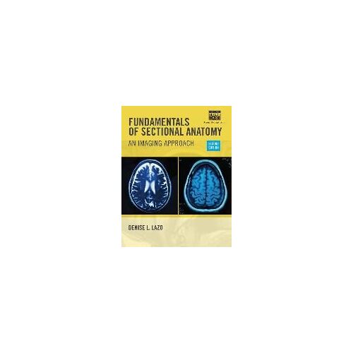 Fundamentals Of Sectional Anatomy
