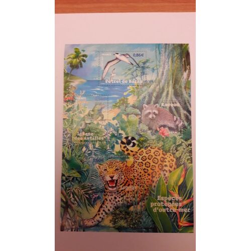 Timbres Loc Feuillet 2007 Espèces Protégées D Outre Mer