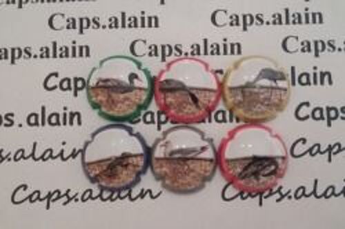 6 Belles Capsules Champagne Sampers News