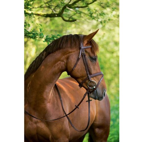 Kerbl Bridon Pour Cob Classic Cuir Marron 324912