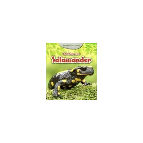 Life Story Of A Salamander