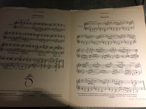 Jardin D'enfants Deux Pièces Pour Piano Crépuscule / Cancion Éditions Lemoine Partition Clergue Sas