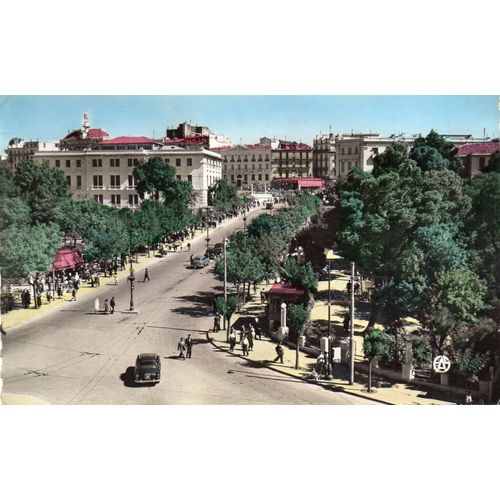 Cpa N° 36 Constantine - Algerie L'avenue Liagre Et Les Squares - Carte Ecrite - Photo Veritable