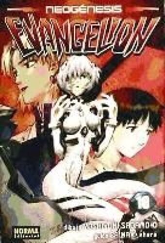 Neogénesis Evangelion 10