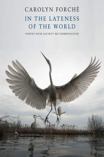 In The Lateness Of The World