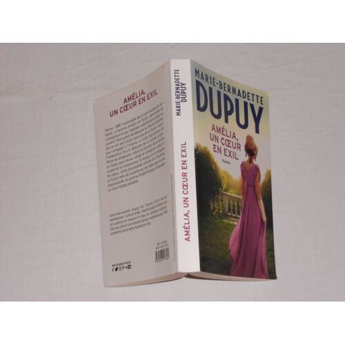 Livre Le Coeur En Exil De Marie-Bernadette Dupuy