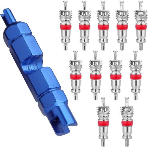 Kits De Vélo À Noyau De Soupape, 11 Noyaux En Acier Inoxydable, Outil De Retrait En Alliage D'aluminium