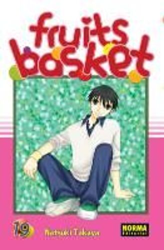 Fruits Basket 19