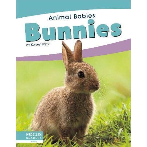 Bunnies