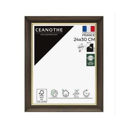 Ceanothe - Cadre photo Luna ébène doré 24x30 cm - Marron