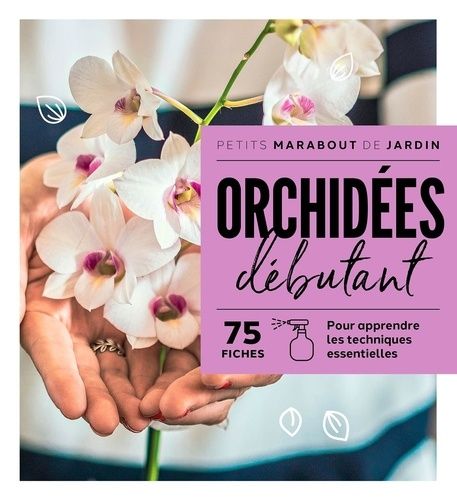 Orchidées Débutant