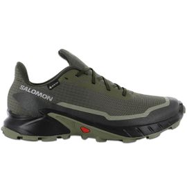 Salomon Alphacross 5 Gtx Gorestex Trailsrunning Baskets Sneakers Chaussures Vert 473103
