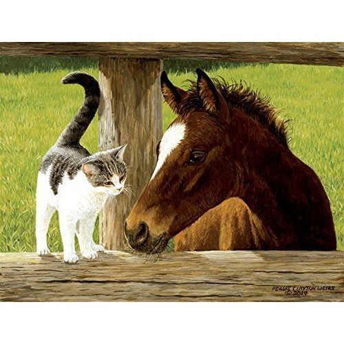 Whiskery Hello - Horse And Cat Puzzle - 500 Piece Jigsaw Puzzle By Sunsout