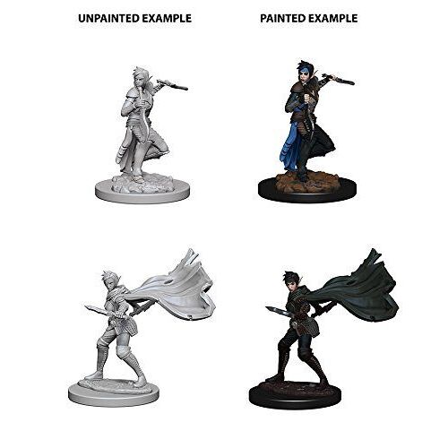 Pathfinder Roleplaying Game Unpainted Miniatures Elf Female Rogue