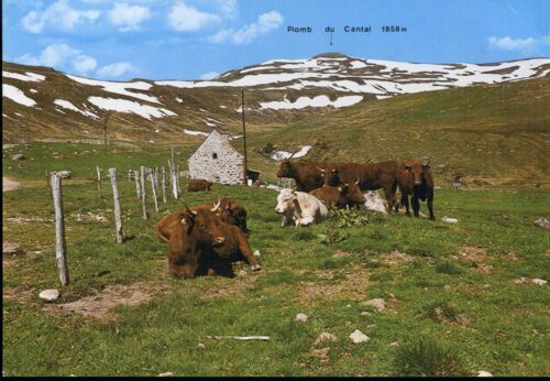 Carte Postale Du Plomb Du Cantal (Cantal) Vue Générale